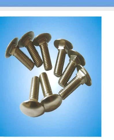 Carriage Bolts