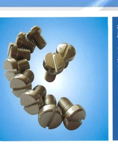 Pan Head Slotted Screws